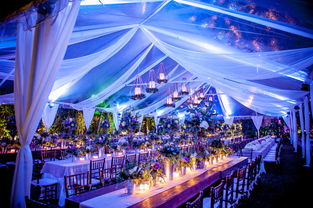 蓝色灯光渲染下的户外帐篷婚礼晚宴布置